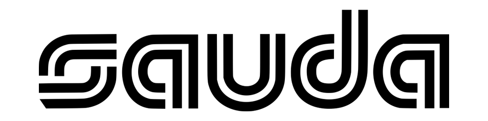 Draudimo bendrovės partnerio logotipas