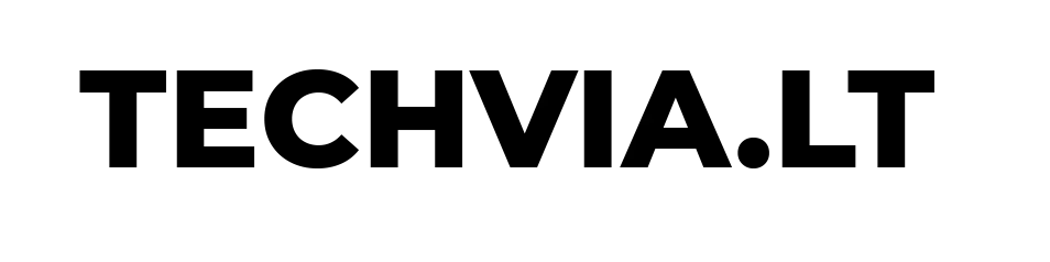 Draudimo bendrovės partnerio logotipas